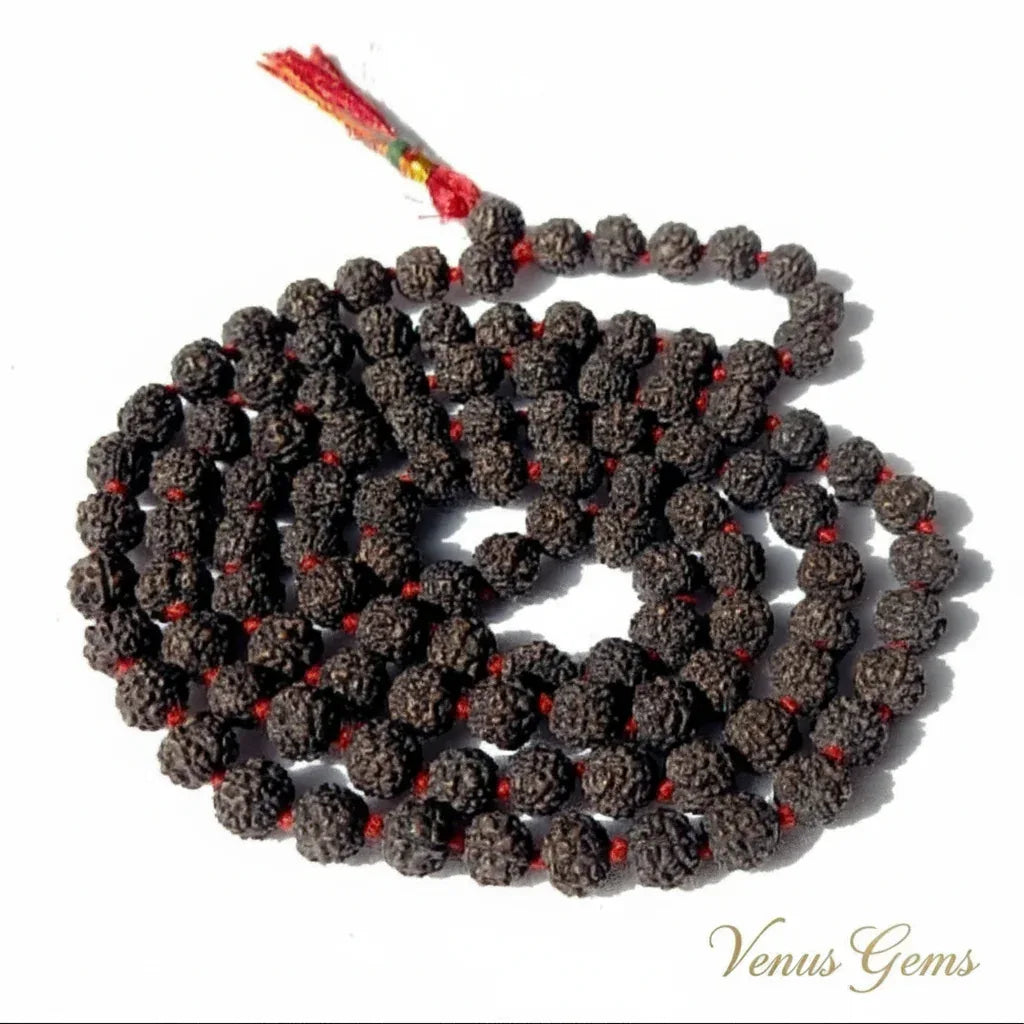5 Mukhi Rudraksha Japa Mala 108 Beads 6mm - Venus Gems