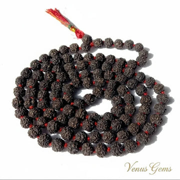5 Mukhi Rudraksha Japa Mala 108 Beads 6mm - Venus Gems
